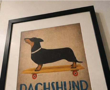 Dachshund med ramme