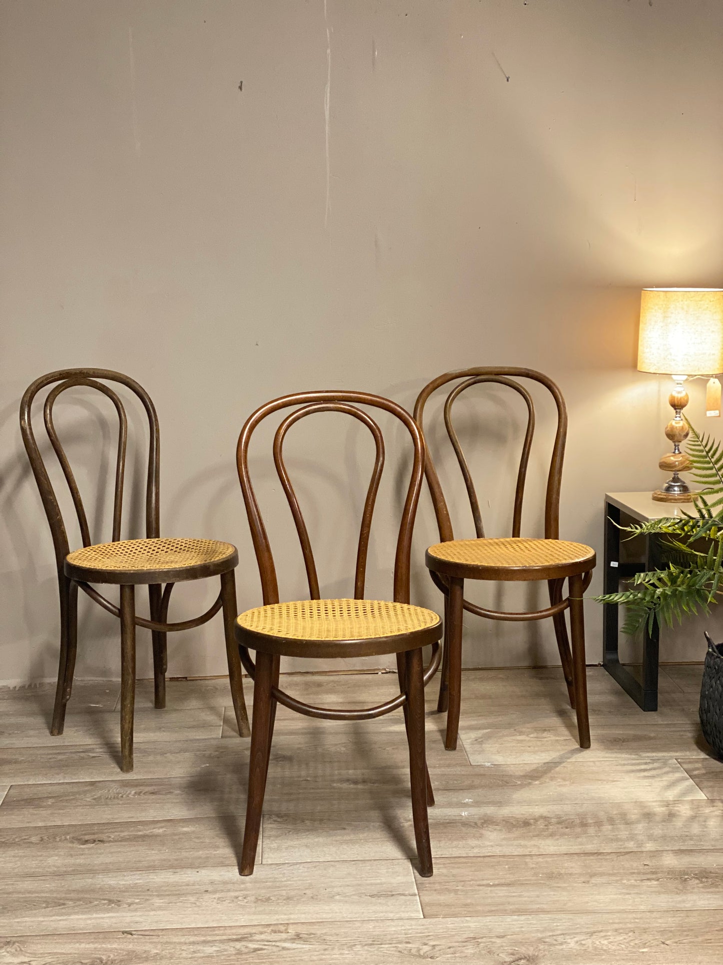Originale vintage Thonet 18 stoler - Kvalitetsbrukt Møbel fra Hjembruket på Hjembruket