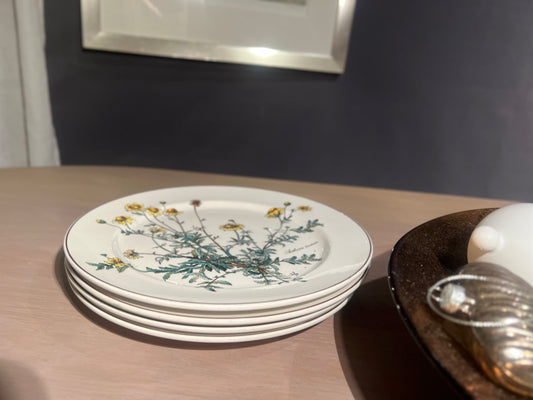Villeroy & Boch - Middagstallerkener Botanica - Kvalitetsbrukt Møbel fra Hjembruket AS på Hjembruket